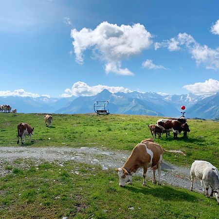 Schneekarhuette Hotell Mayrhofen Eksteriør bilde
