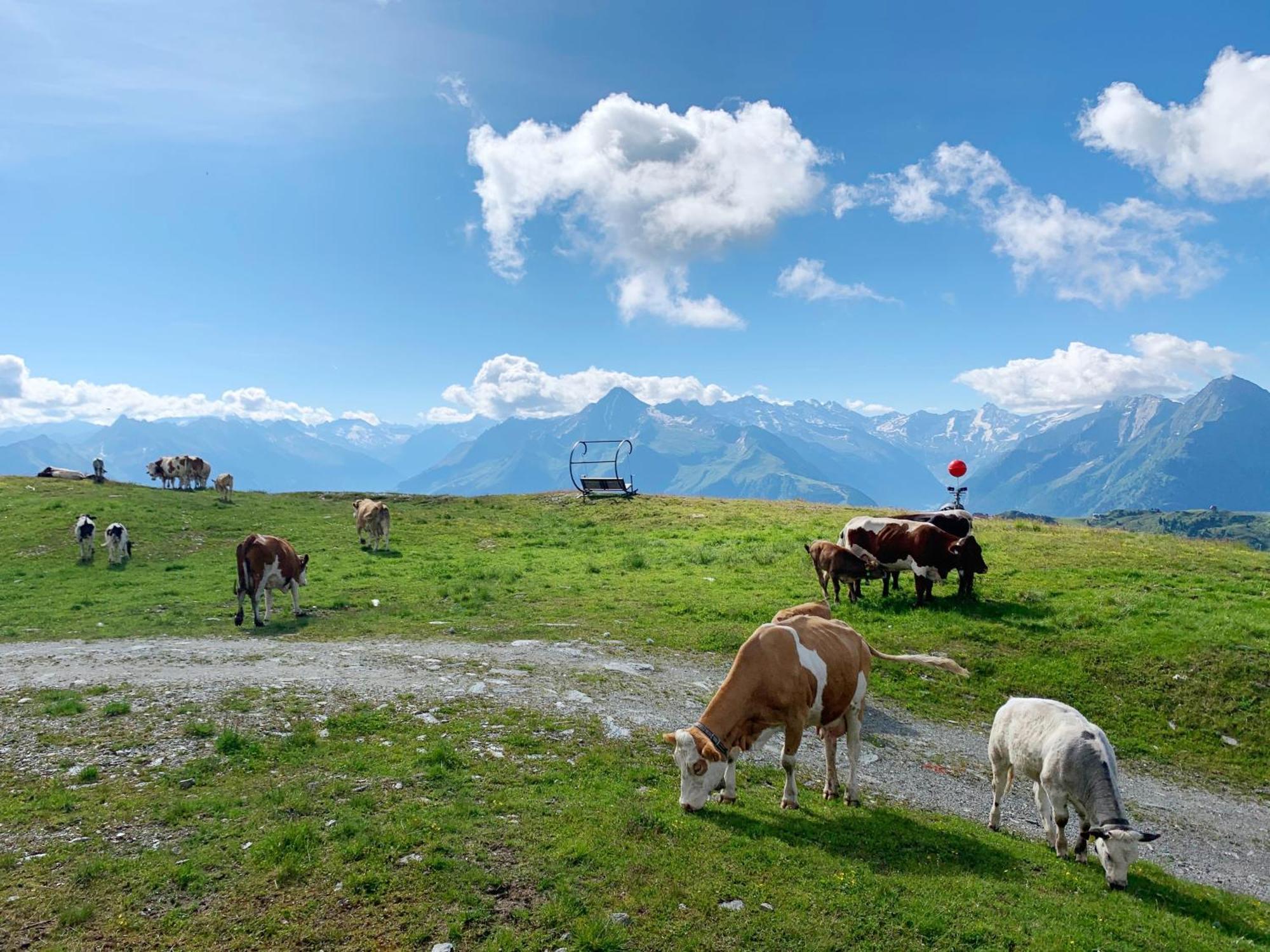 Schneekarhuette Hotell Mayrhofen Eksteriør bilde